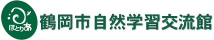 鶴岡市自然学習交流館「ほとりあ」