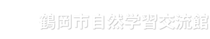 鶴岡市自然学習交流館「ほとりあ」