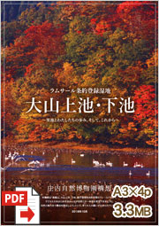 大山上池・下池